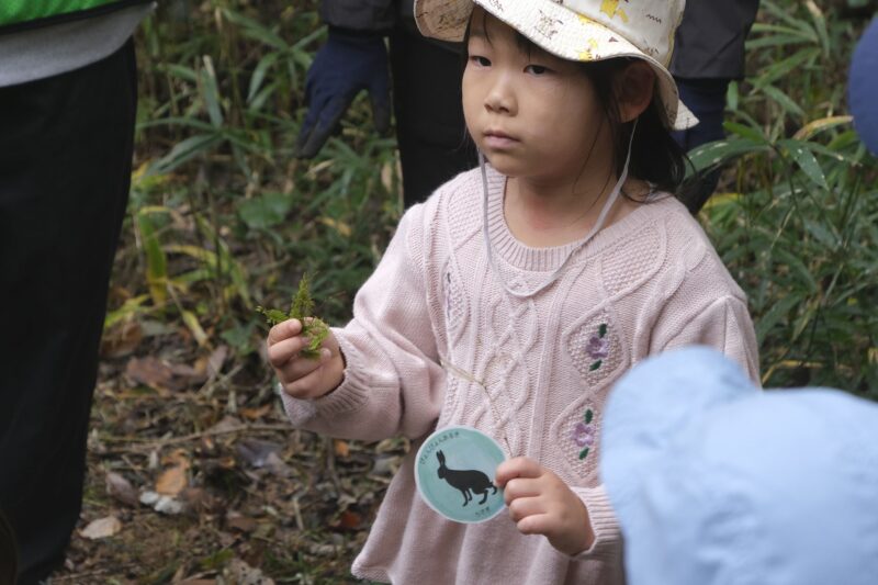 ノウサギにはどんな特徴があるかな？