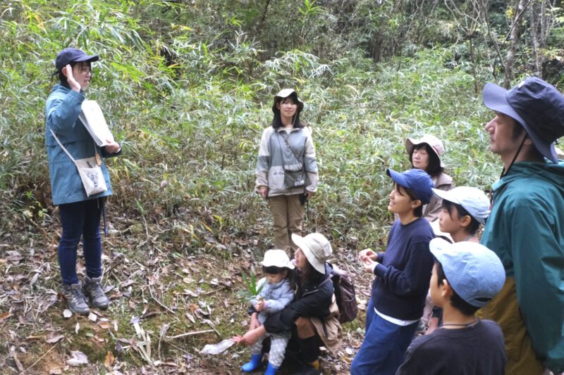 森の中で動物クイズ。クマはドングリを1日にどれだけ食べるかな？