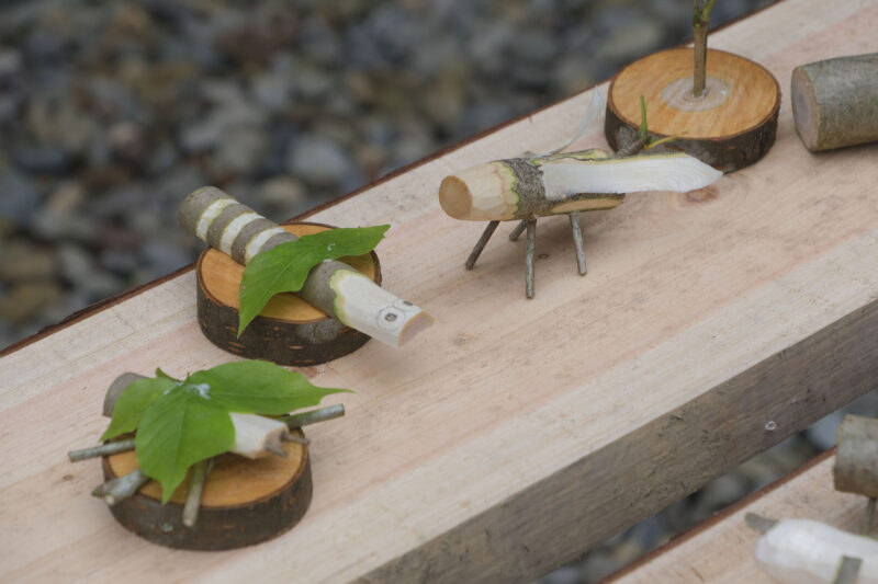 自由な発想で作られた虫たち