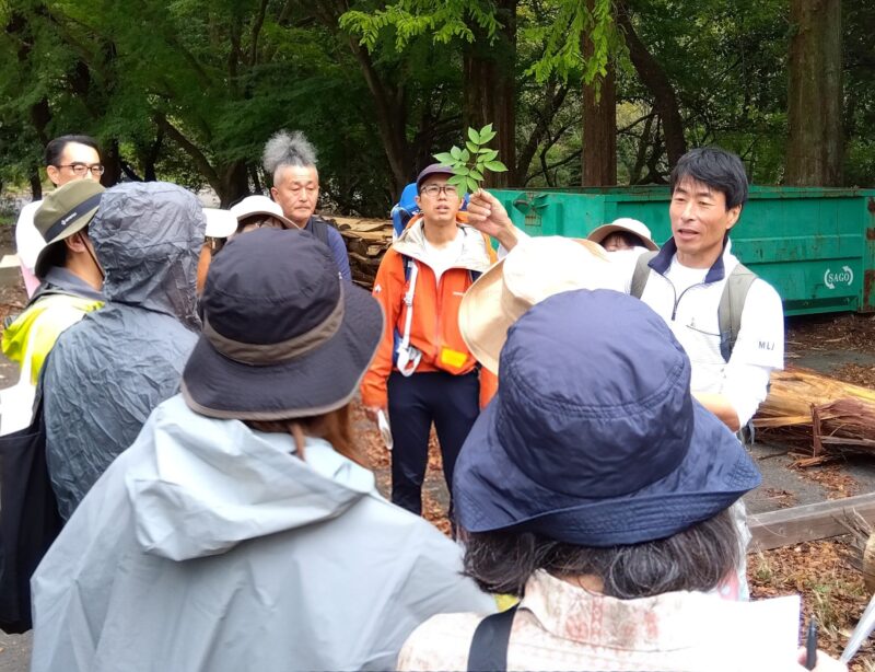 道路沿いに植えられたアオダモについて説明する林将之さん