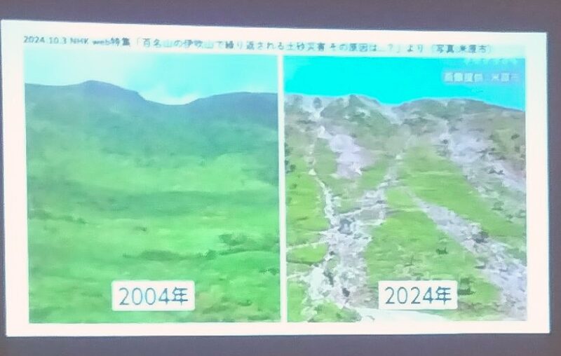 伊吹山の植生変化(2004年と2024年)