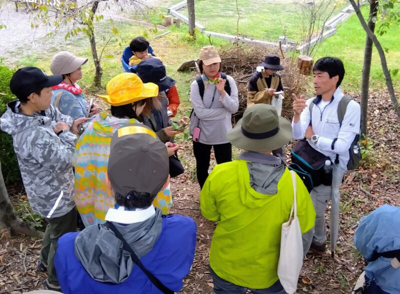 里山の代表樹種コナラについて説明する林将之さん
