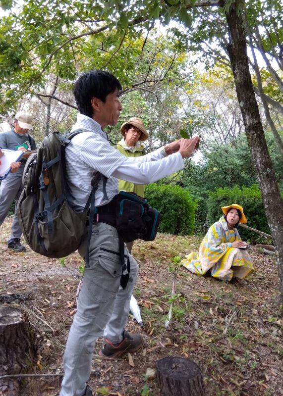 ブナの葉の特徴について説明する林将之さん