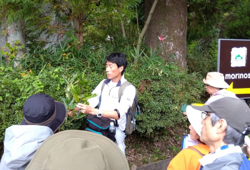 アベマキ・クヌギ・クリの見分け方を説明する林将之さん