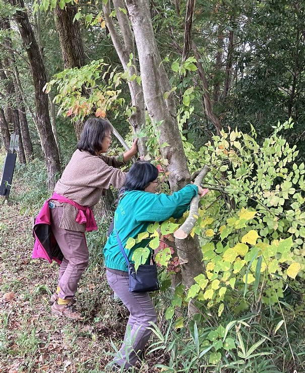 整枝剪定を兼ねて交叉した枝を切除する参加者