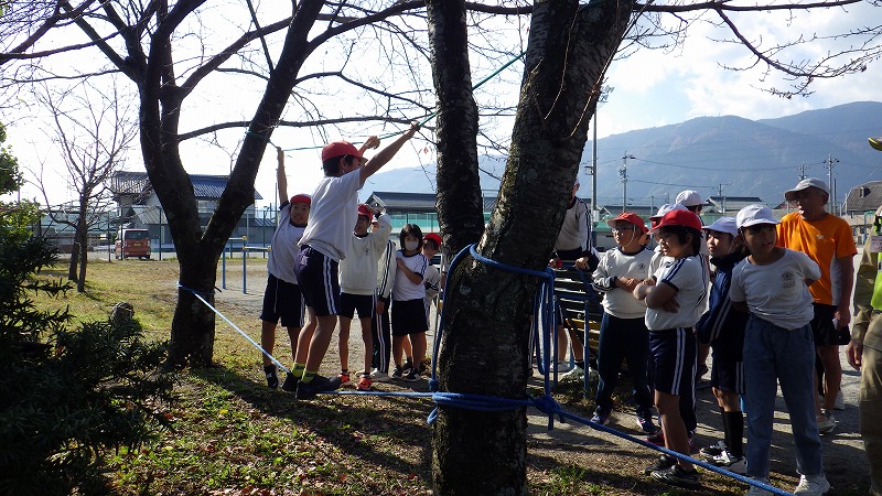ソメイヨシノに渡したロープ渡りに挑戦する３年生