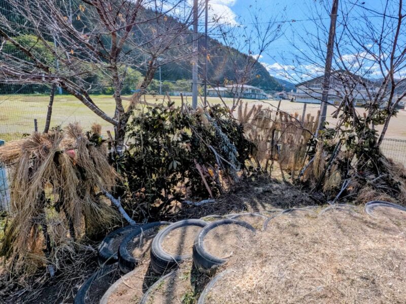 年長児の努力の結晶！