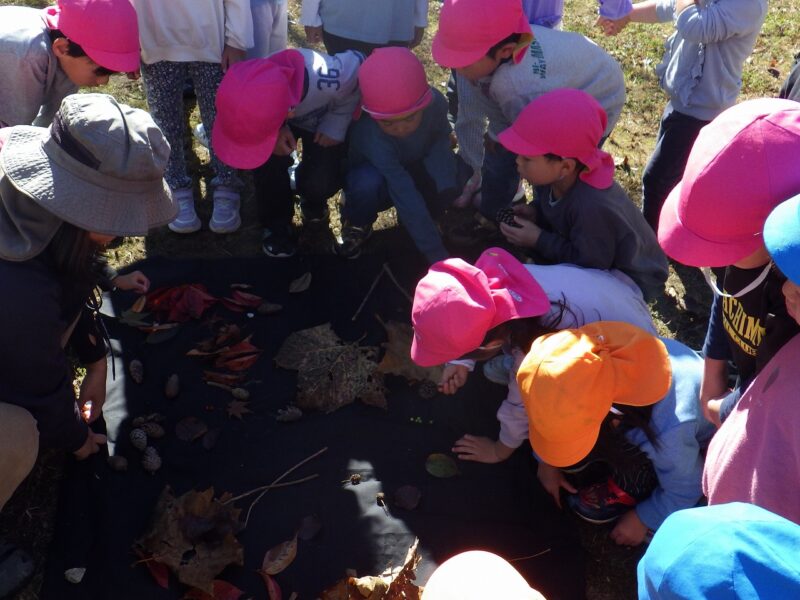 それぞれどんな宝物を見つけたかな？