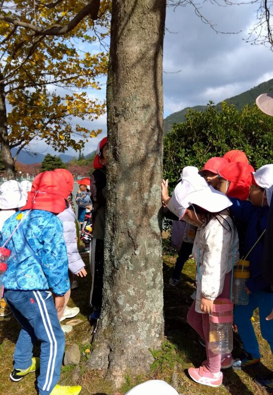 触ってみてどんな感じ?