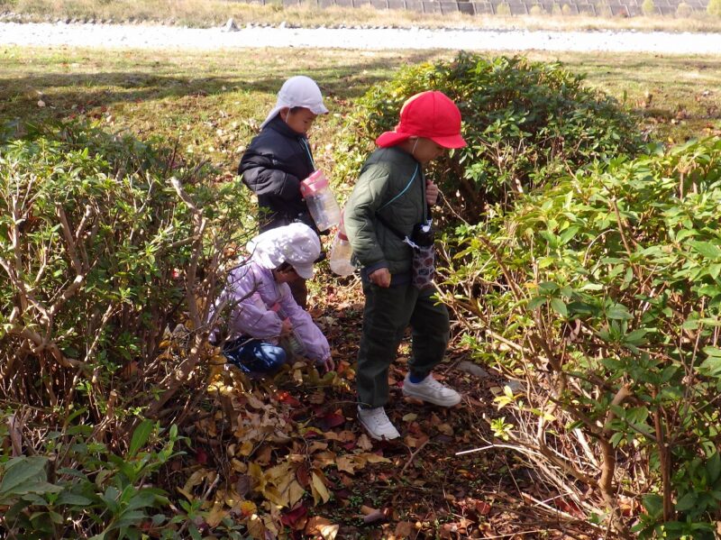 あちらこちらに気になるものがある