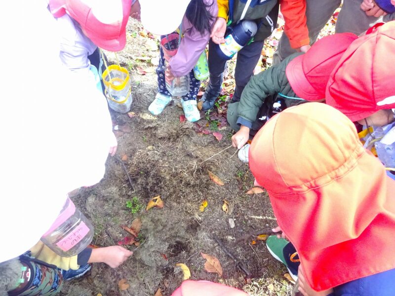 なんでこの場所はフカフカで柔らかいの?