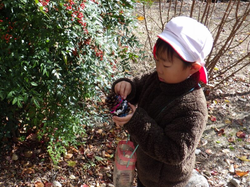 カラフルな実をくっつけてみた