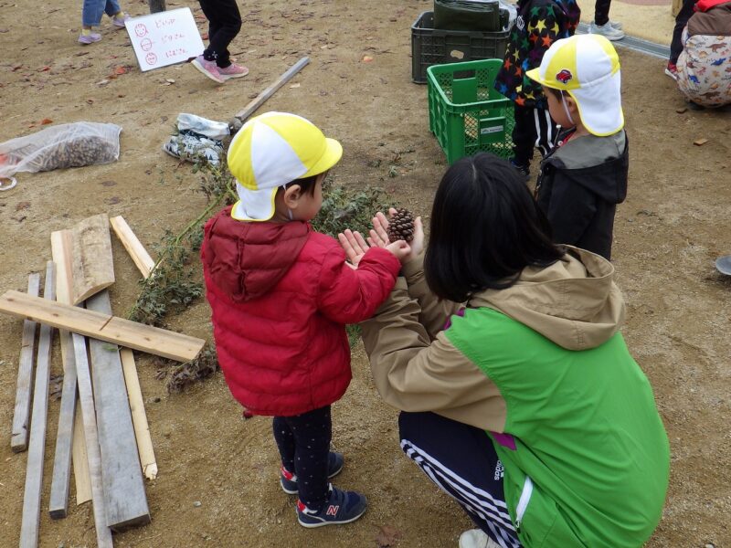 ちくちく？ゴツゴツ？松ぼっくりから教わる感触の世界