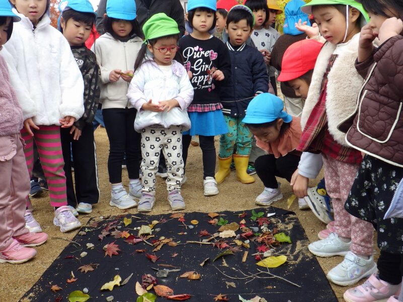 集めたものをくらべっこ