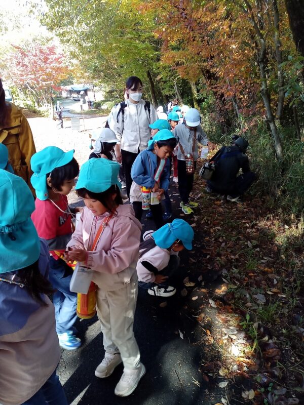 探検の始まりはどんぐり拾い