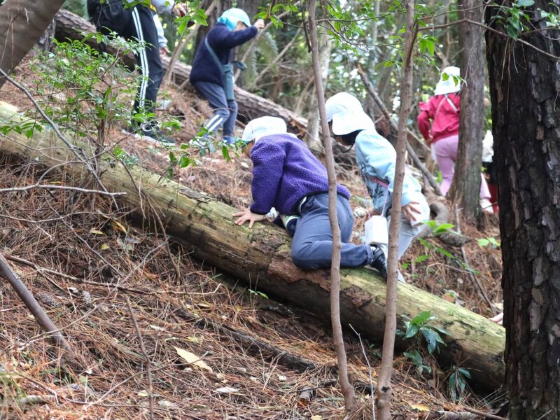 乗り越える力！