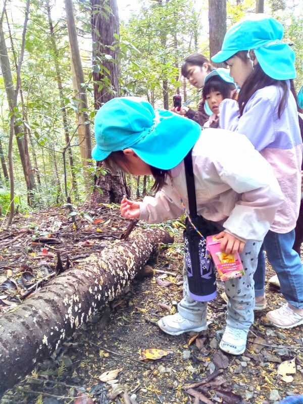 グニグニ？五感をフル回転！キノコを触って確かめる
