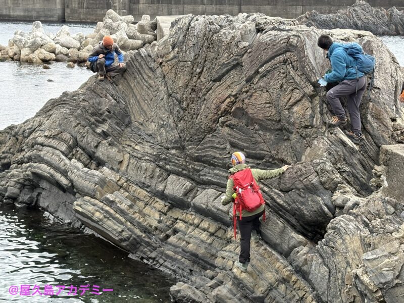 日向層群の褶曲