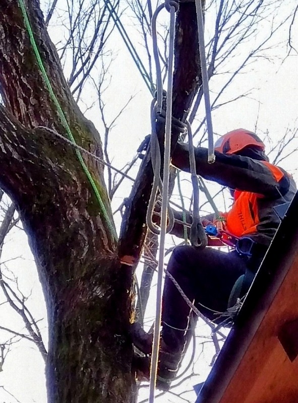 ハンドソーでカッティングする参加者
