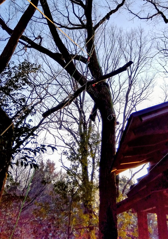 空中を移動する切り枝