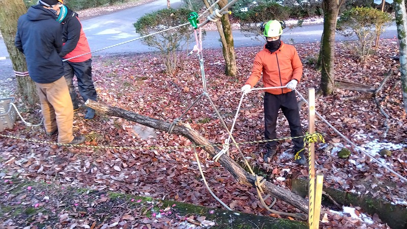 道路際にランディングさせた元枝
