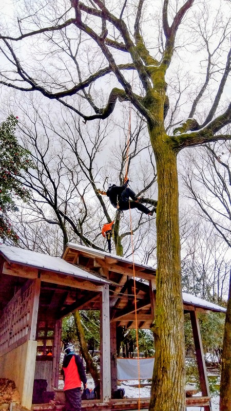 「こならの小径」を挟んで、２人が作業する様子