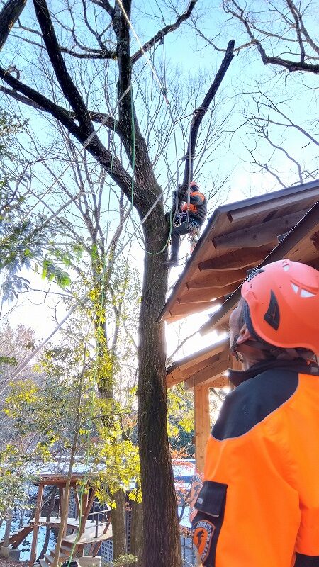 リギングセット完了させた参加者