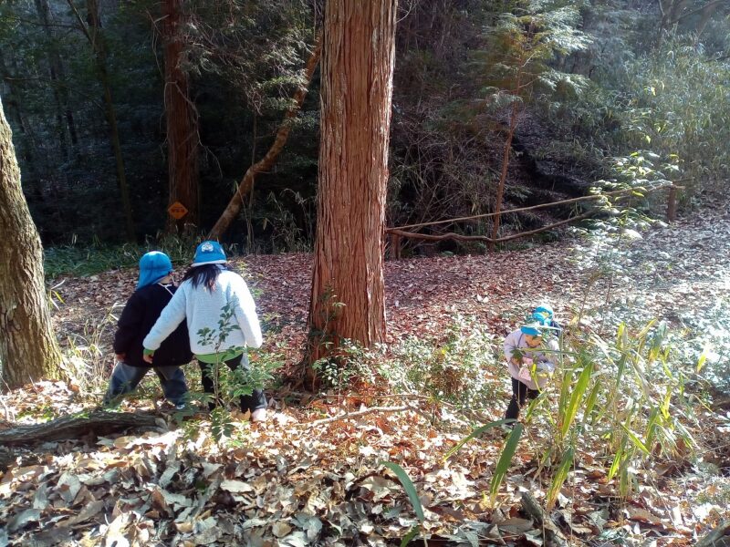 冬の森と出会う