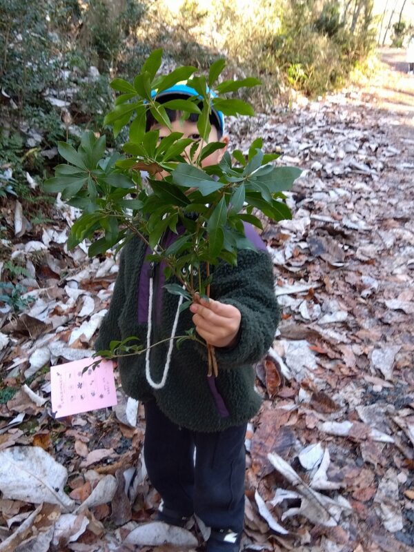 鬼が苦手な「木」を探せ！