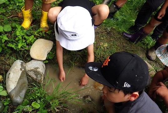 石を運んで湧き水ポイントの改修工事