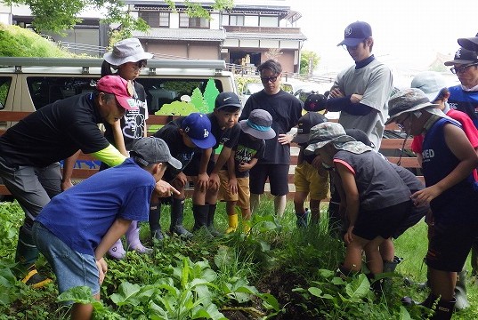 「湧き水」を確認する参加者