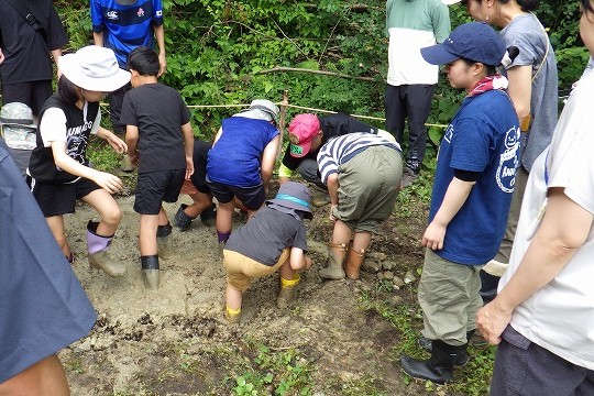 泥池予定地の石を拾う参加者