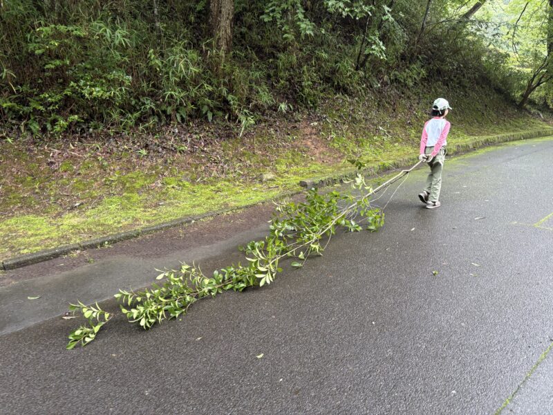 こちらは小枝のパーツも取りたいため、そのままで