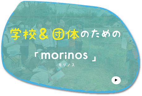 学校＆団体のための「morinos」