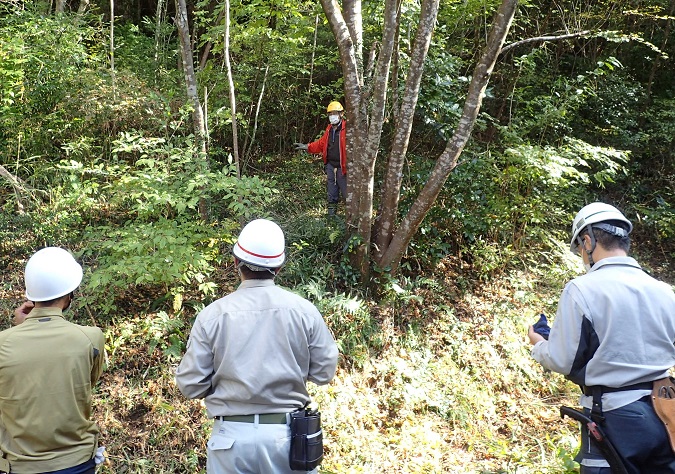 里山林としてどう整備するのかを参加者に説明する横井教授