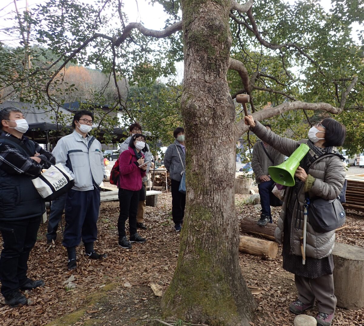 樹木医学 出版案内 ｜ 日本樹木医会