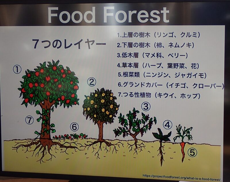 Food Forestの原案
