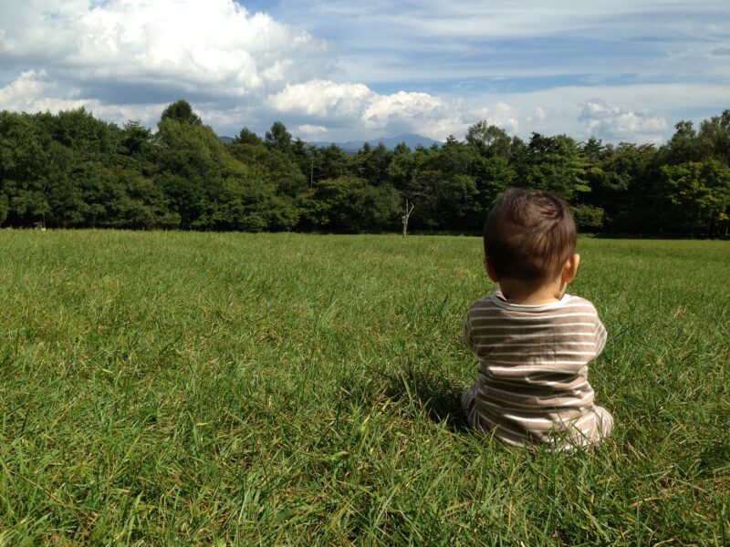 草原に座る赤ちゃん