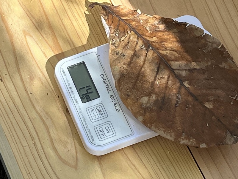 葉っぱの重さ計測