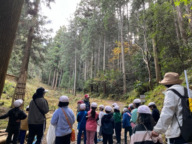 110年生ヒノキ林とスギ林で、集材架線による木材運搬の説明を聞く子どもたち