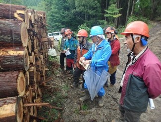 間伐材の価値を考える森林インストラクター