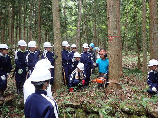 伐採の受け口を見学する中学生