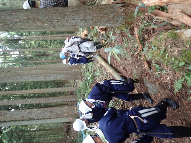 伐採木を運ぶ中学生