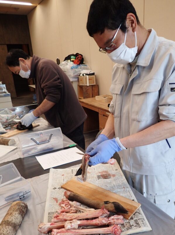 シカの足の骨抜き作業