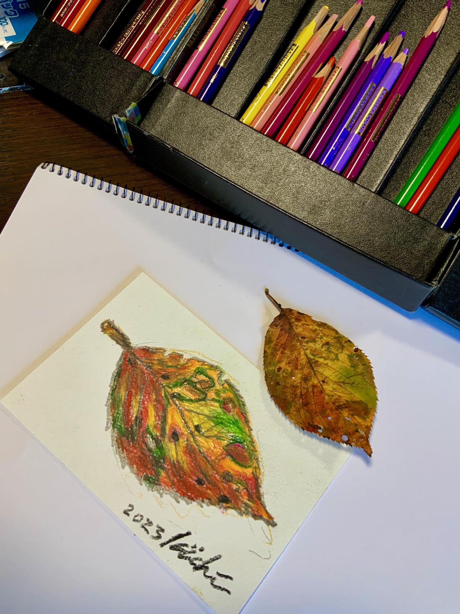 色鉛筆画 森のメロディー 抱え