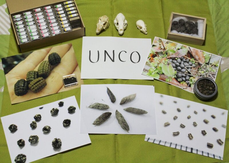 UNCOプロジェクト