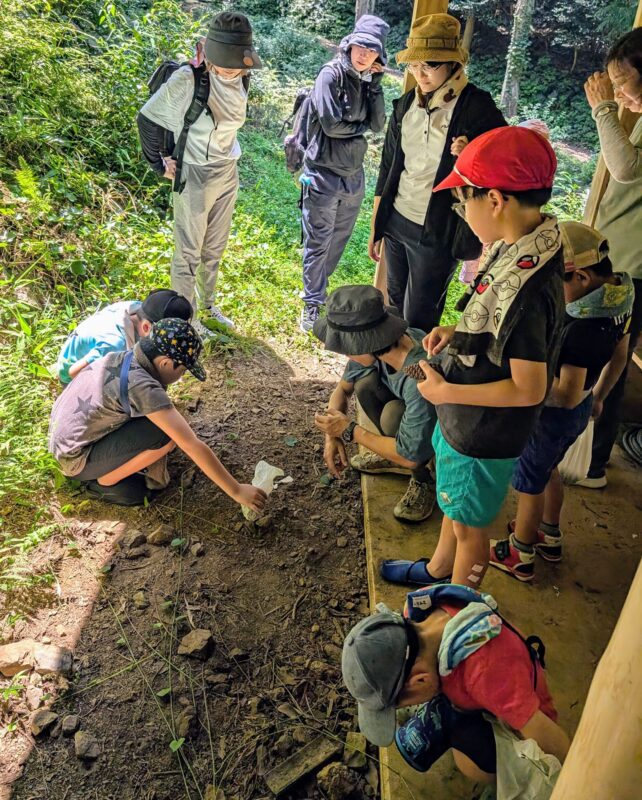 ウスバカゲロウの幼虫、アリジゴクを観察するおこさんたち