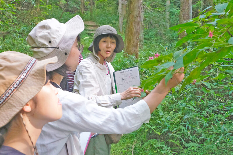 公園林のフィールドレクチャー