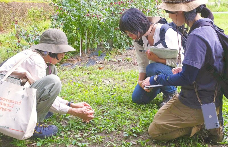 公園のフィールドガイド