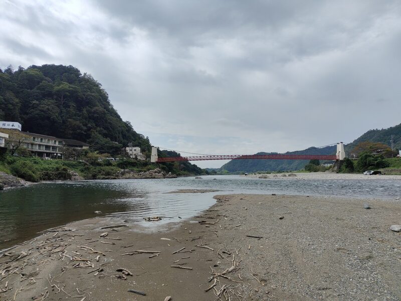 長良川湖畔の流木